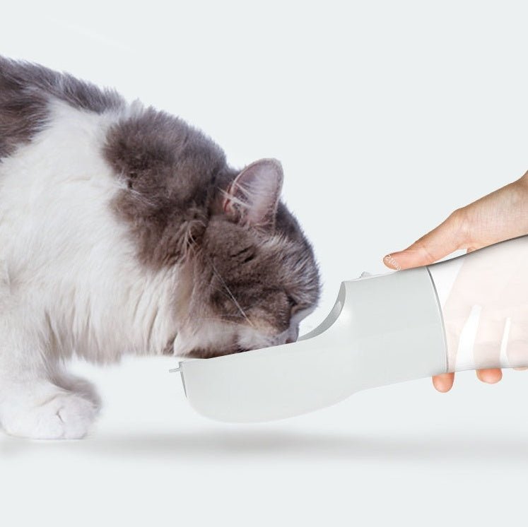 Portable Dog Water Bottle for Travel