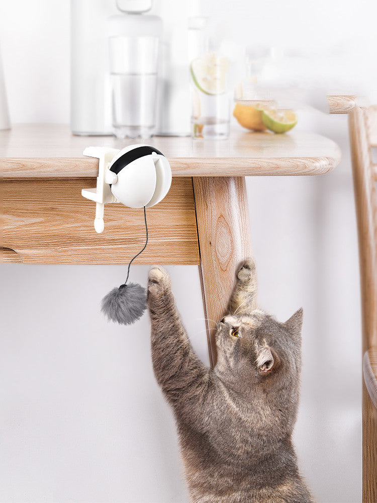 Automatic Lifting Motion Cat Teaser Toy