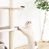 Electronic Motion Cat Toy & Accessory Set