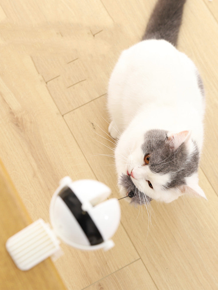 Automatic Lifting Motion Cat Teaser Toy