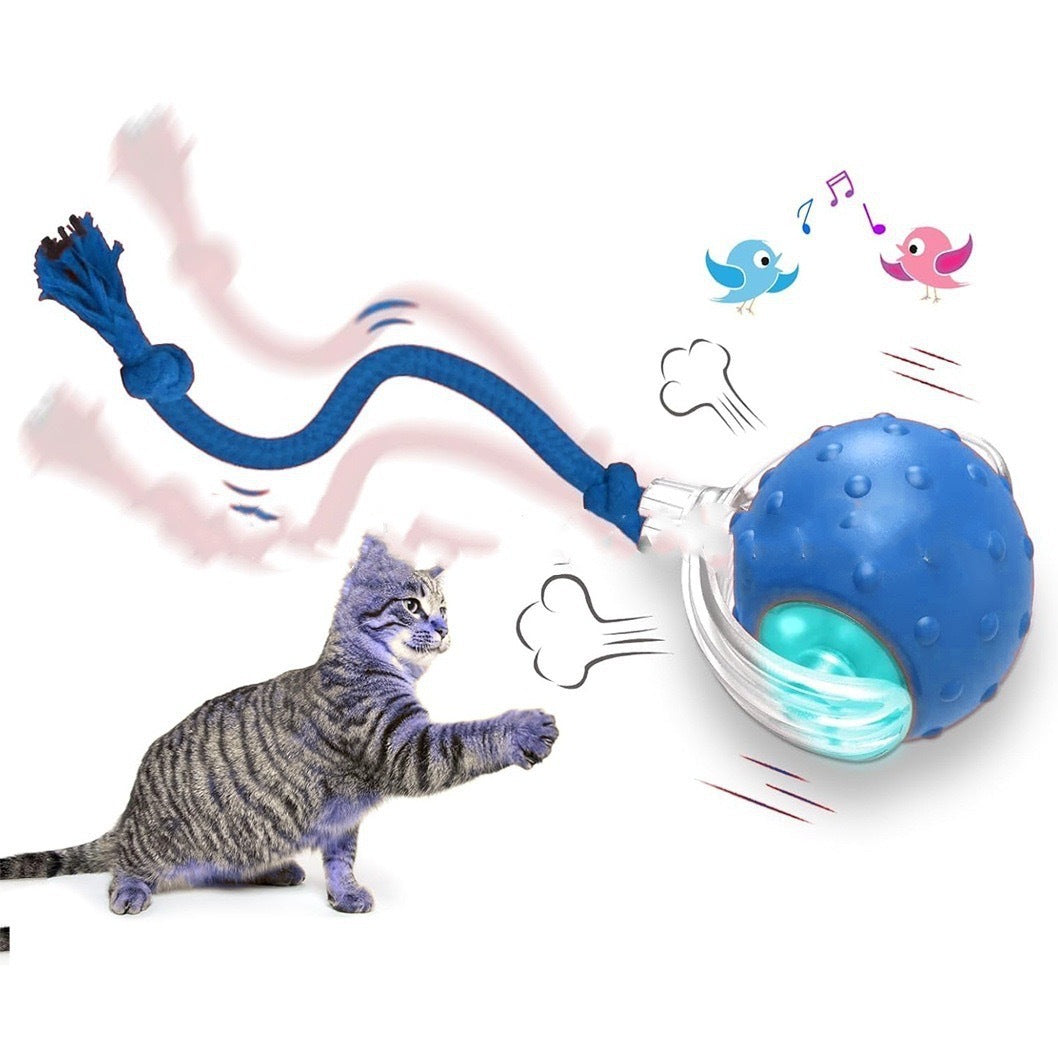 Interactive Motion Cat Ball with Tail Options
