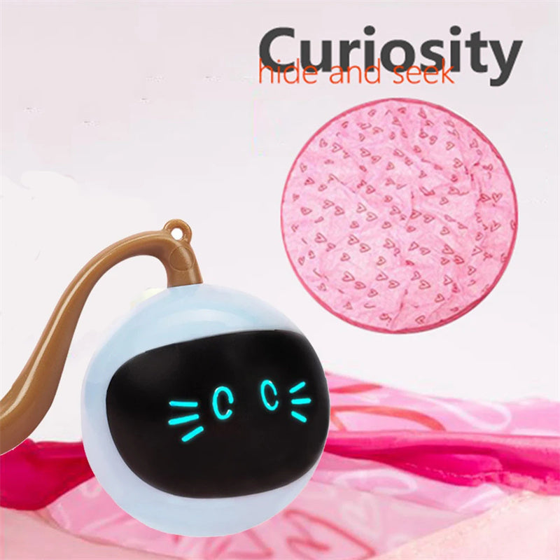 Automatic Undercover Motion Cat Toy