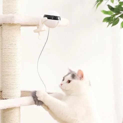 Electronic Motion Cat Toy & Accessory Set