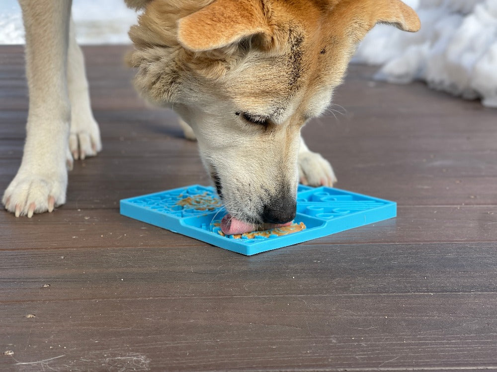 Sky eMat Enrichment Lick Mat