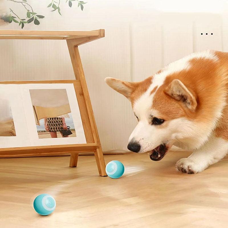 Rechargeable Smart Rolling Cat Ball