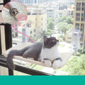 Suction-Cup Cat Window Hammock
