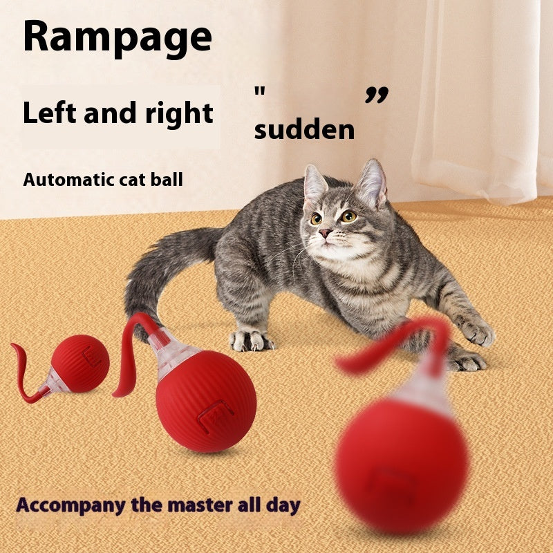 Interactive Motion Cat Ball with Tail Options