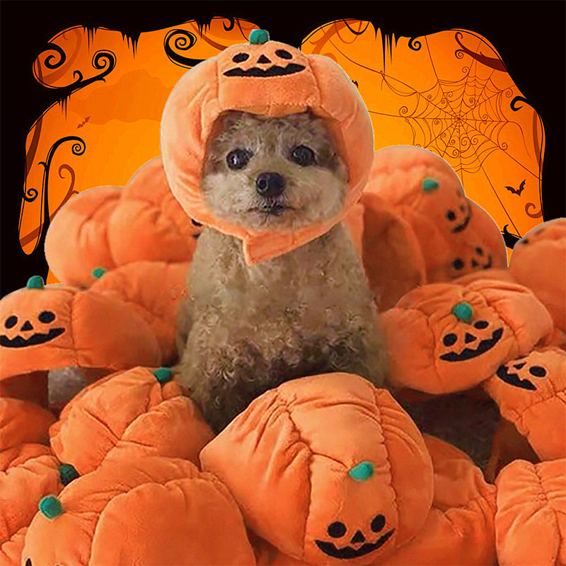 Halloween Pumpkin Pet Hat