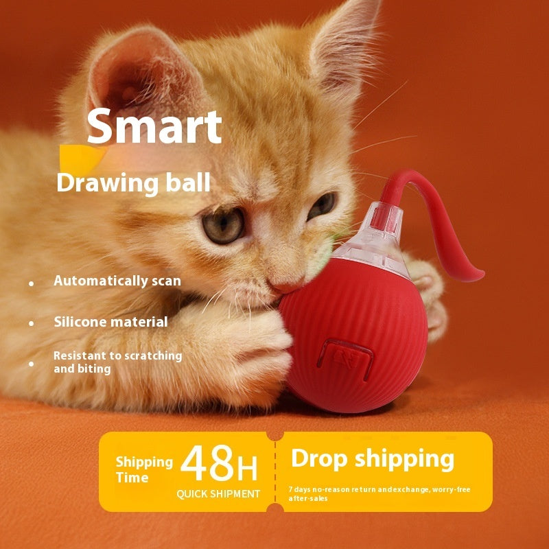 Interactive Motion Cat Ball with Tail Options