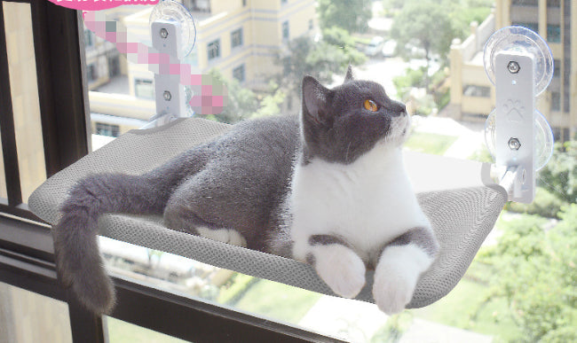 Suction-Cup Cat Window Hammock