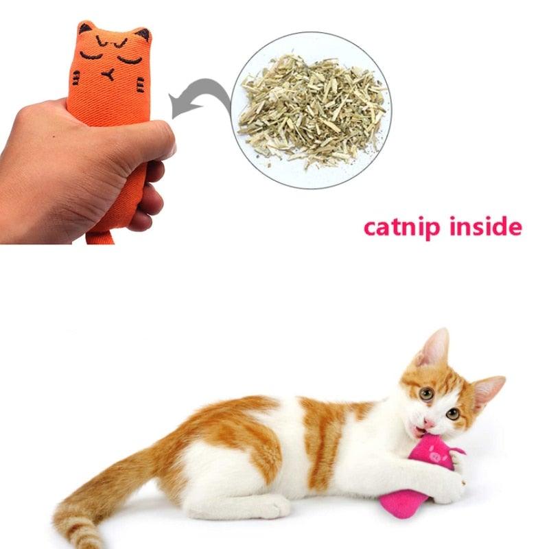 Catnip Plush Chew Toy for Cats