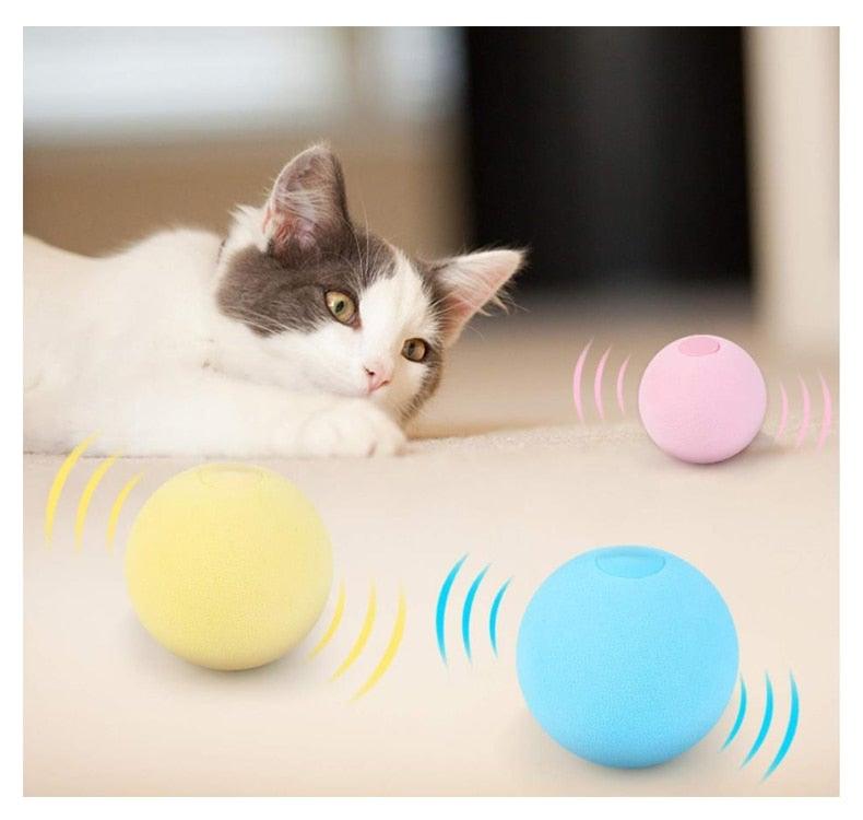Interactive Chirping Cat Ball Toy