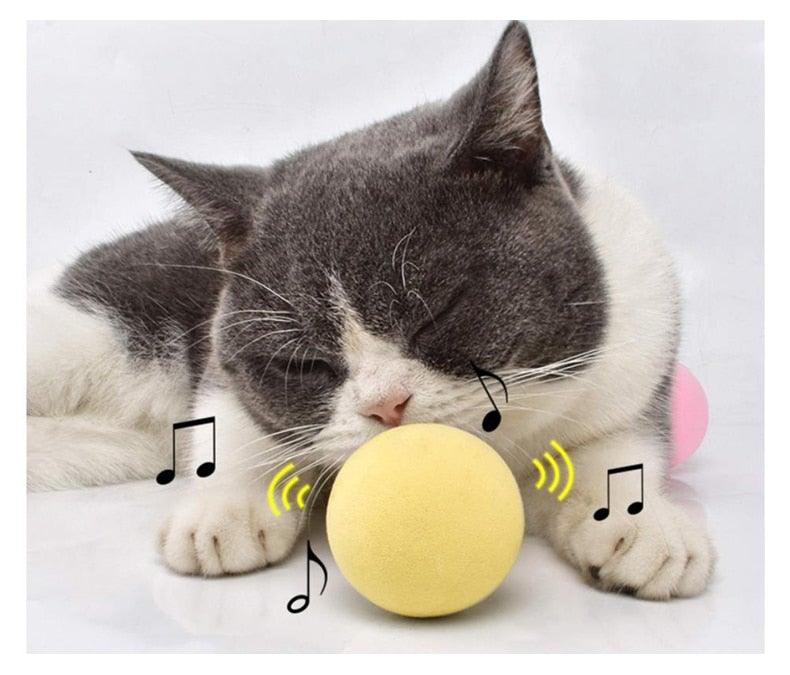 Interactive Chirping Cat Ball Toy