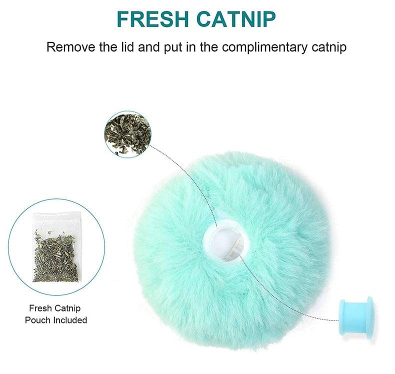 Interactive Chirping Cat Ball Toy
