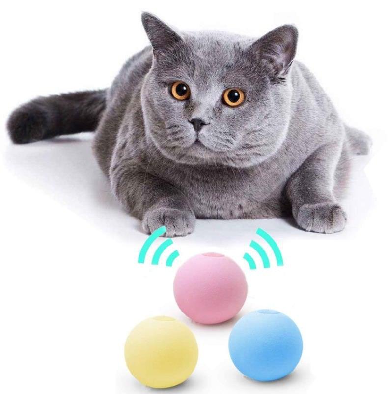 Interactive Chirping Cat Ball Toy